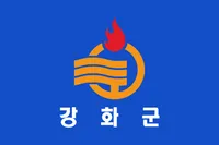 파일:강화군 군기.png