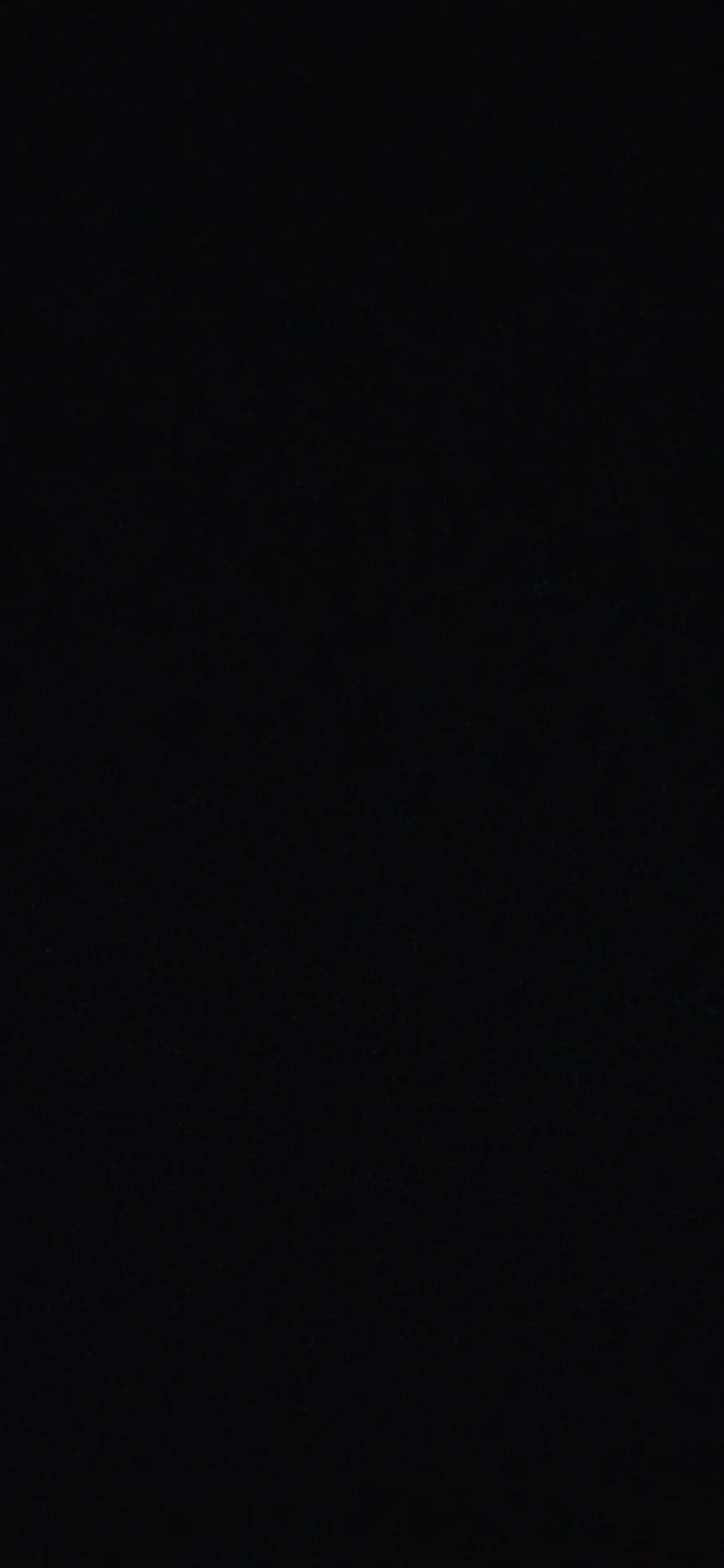 파일:1080 - 2340.jpg