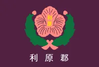 파일:이원군 군기.webp