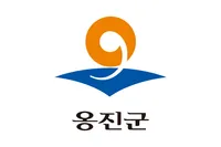 파일:옹진군(인천광역시) 군기.png