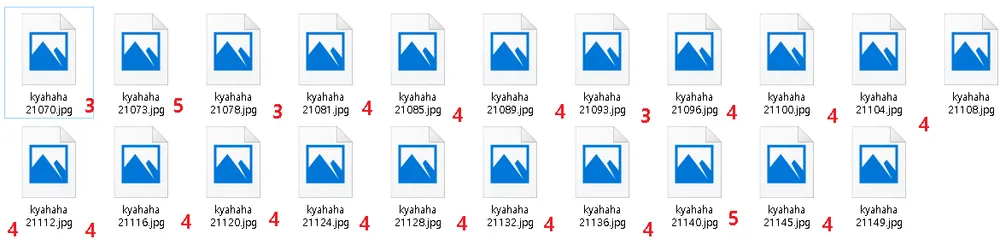 파일:i11479211873.png